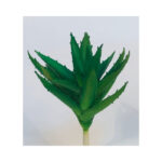 Spiked Cactus