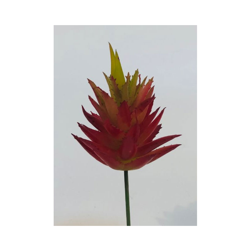 PLA95C Red Spiked Cactus - Image 1