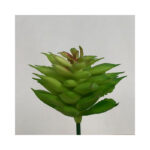Spikey Cactus - Image 2