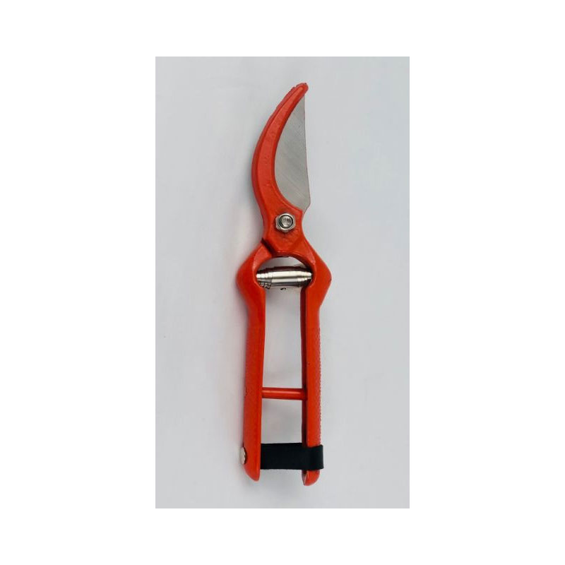 SCI7B Carpa pruning shears - Image 1