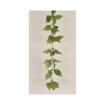 Grape Leaf Garland