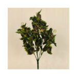Grape Leaf Bush - Image 2