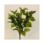 Grape Leaf Bush - Image 3