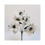 Tulip Bush