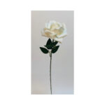 Single Rose - Image 2