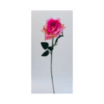 Single Rose - Image 3