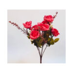 Rose Bush