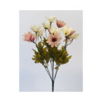 Daisy Bush - Image 2