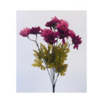 Daisy Bush - Image 4