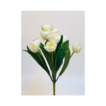 Tulip Bush - Image 6
