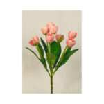 Tulip Bush - Image 4