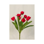 Tulip Bush - Image 3