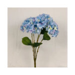 Hydrangea Bush