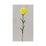 Carnation - Image 6