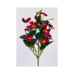 Pansy Bush - Image 2
