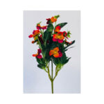 Pansy Bush - Image 8