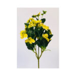Pansy Bush - Image 7
