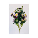 Pansy Bush - Image 6