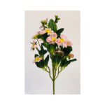 Pansy Bush - Image 5