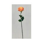 Parfait Rose - Image 4