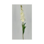Delphinium