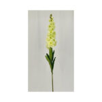 Delphinium - Image 6