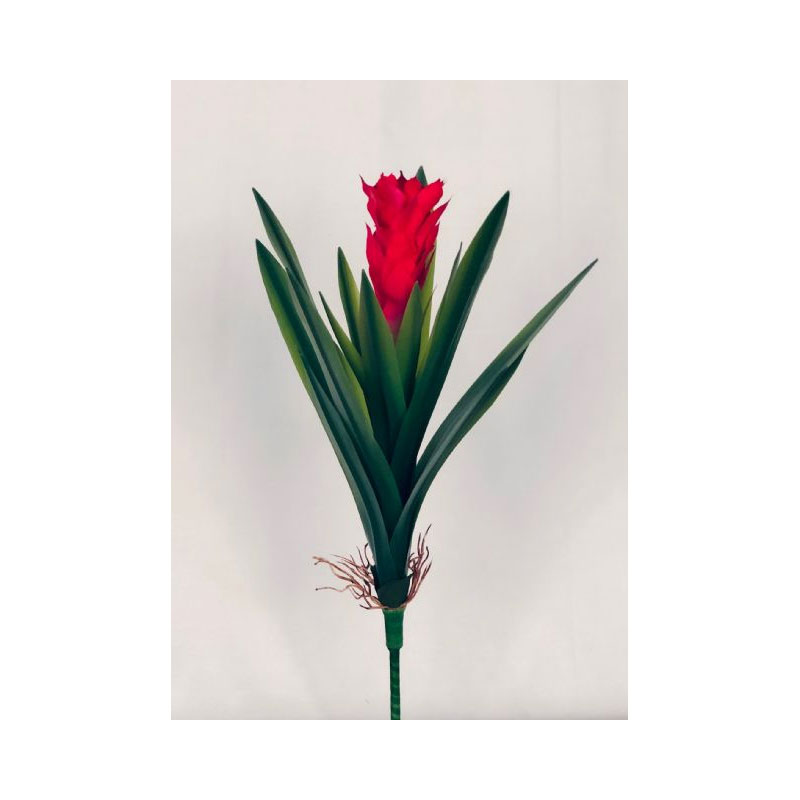 SIL42S-01 Cactus With Long Leaves And Roots - Image 1