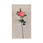 Peony Spray