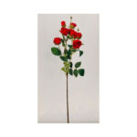 Rosebush Spray