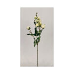 Rosebush Spray - Image 2
