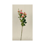 Rosebush Spray - Image 5