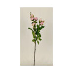 Rosebush Spray - Image 4
