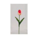 Tulip - Image 2
