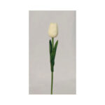 Tulip - Image 9
