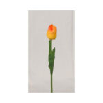 Tulip - Image 7