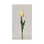 Tulip - Image 6