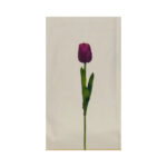 Tulip - Image 5