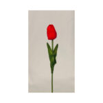 Tulip - Image 4