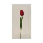 Tulip - Image 3