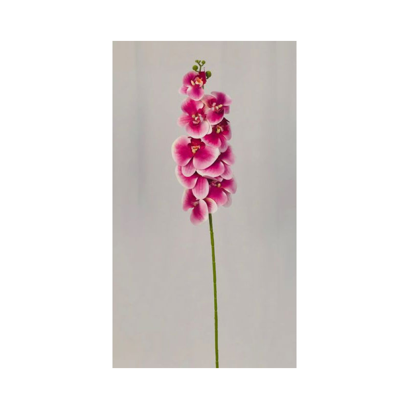 SIL45B-01 Orchid - Image 1