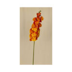 Orchid - Image 2