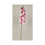 Orchid - Image 4
