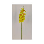 Orchid - Image 3