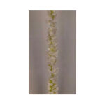 Delphinium Garland - Image 2