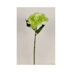 Hydrangea - Image 3