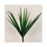 Thin Leaf Bush