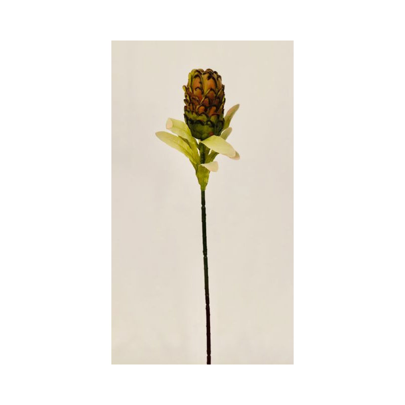 SIL78D-01 Closed Protea - Image 1