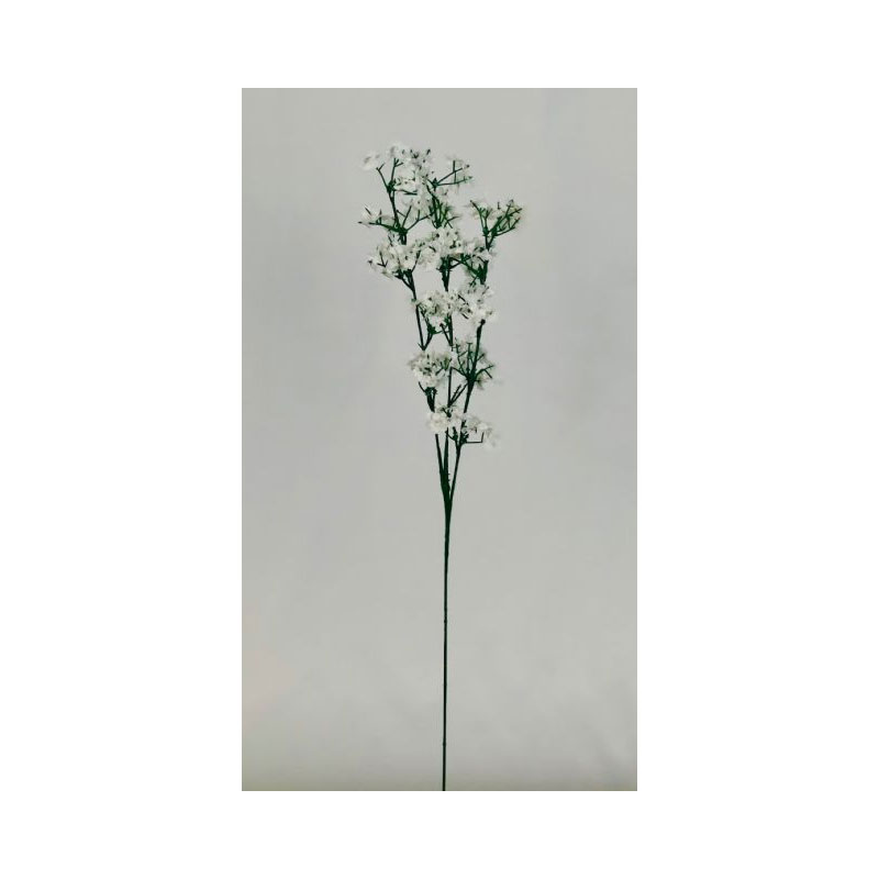 SIL8 Baby's Breath - Image 1