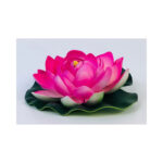 Large Water Lilly - Image 2
