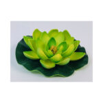 Small Water Lilly - Image 2